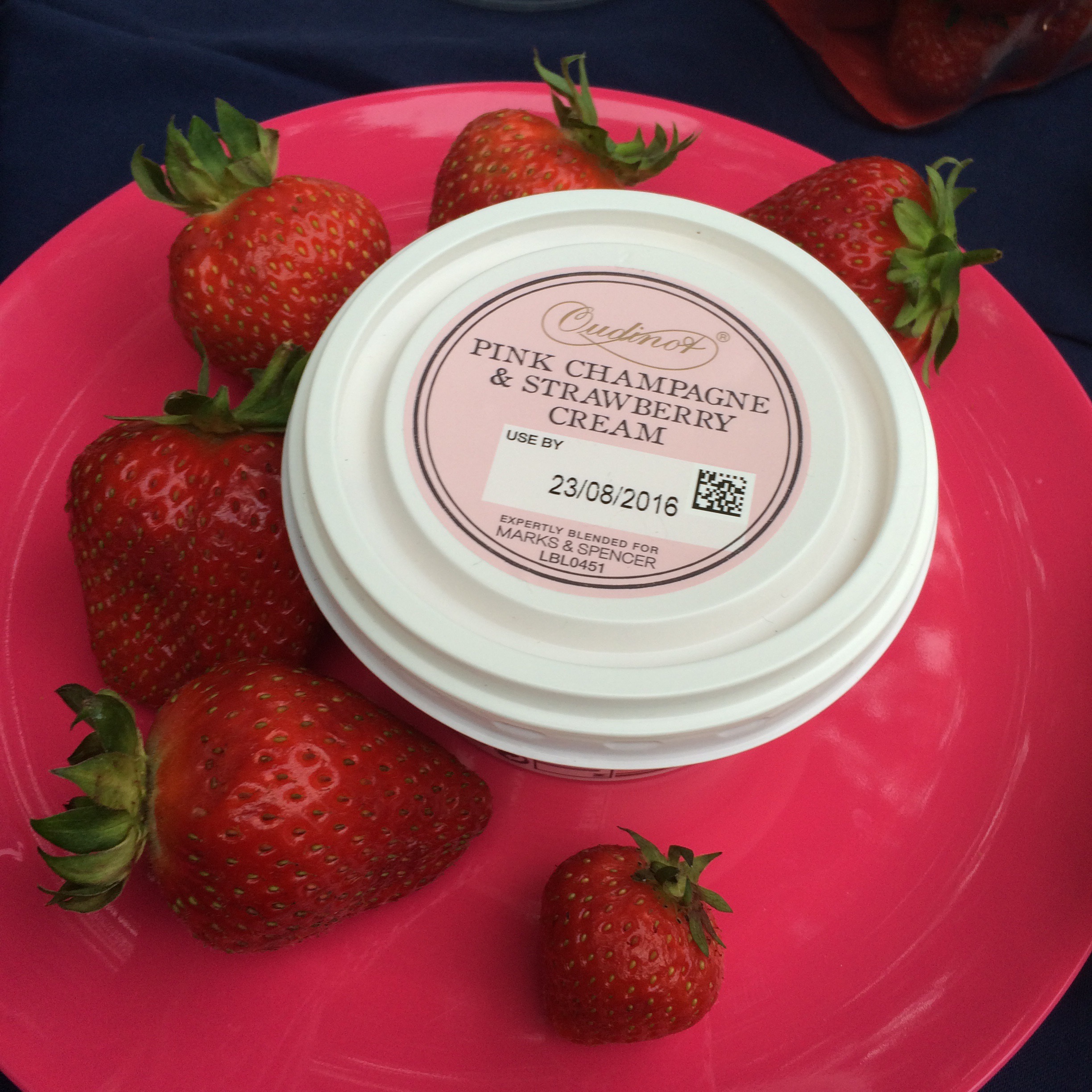 M&S picnic