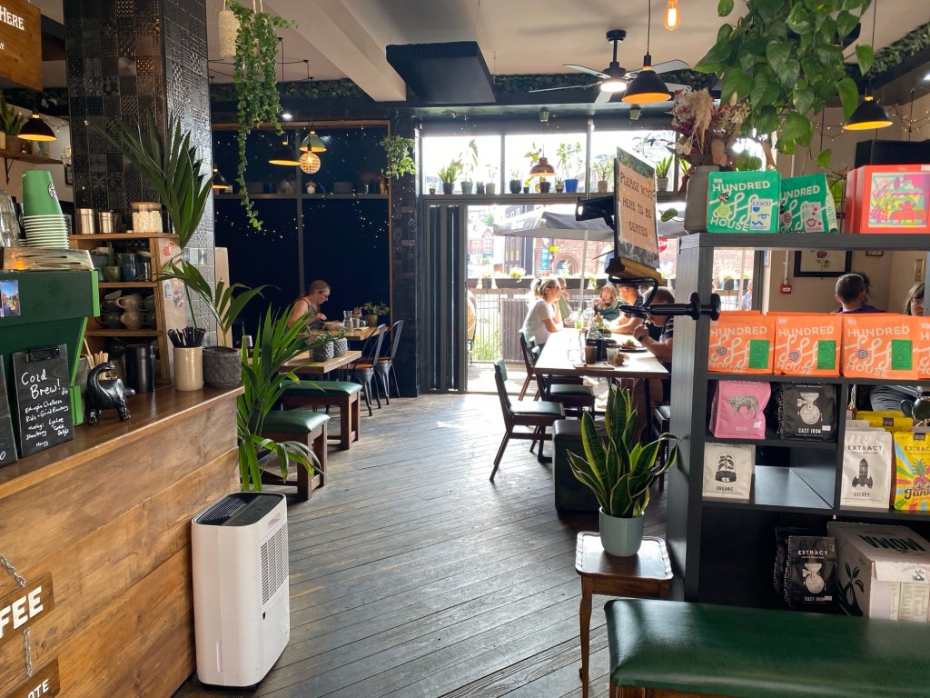 A view inside a cafe, In the background is a patio door with chairs and tables in front. In the foreground, a wooden servery is on the left and a shelf with brightly coloured items for sale. There are plants hanging from the ceiling, on the counter and on the sheles.